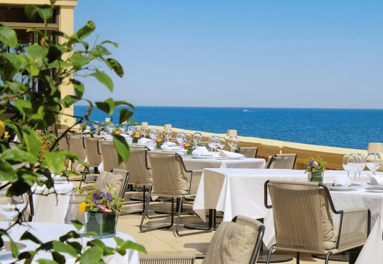 Photo - Hotel Royal-Riviera
