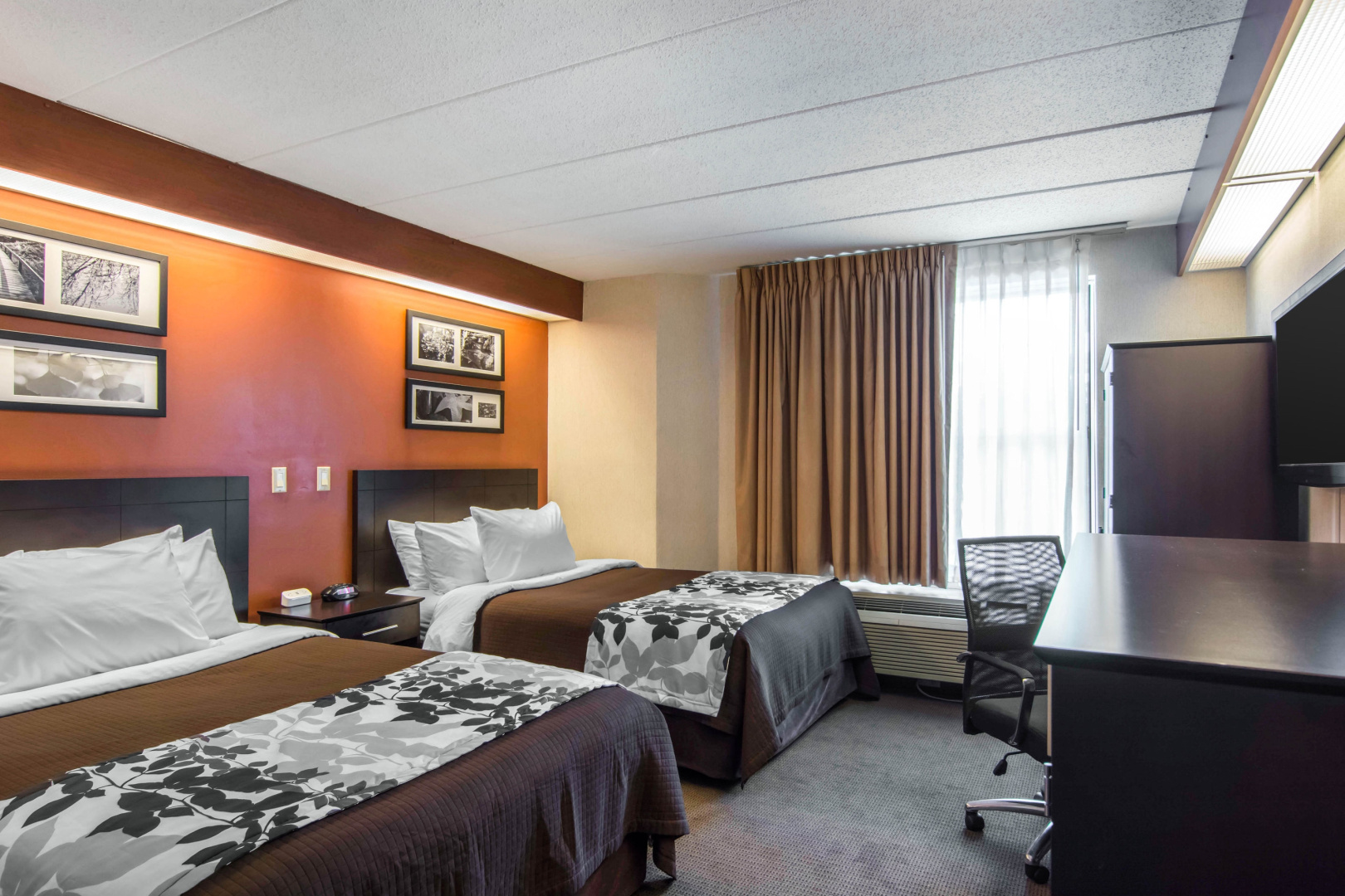Foto - Sleep Inn Lake Wright - Norfolk Airport