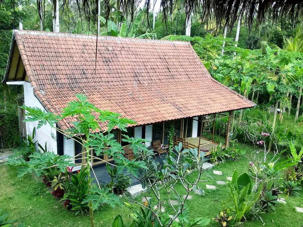 Photo - Jungle House - surf & stay