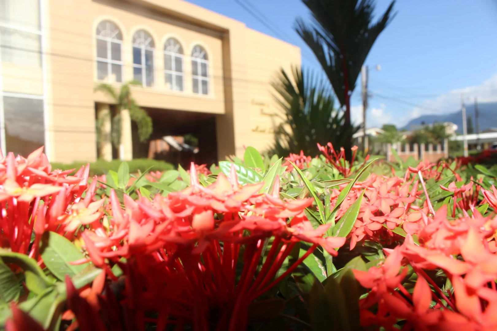 Photo - La Quinta Hotel