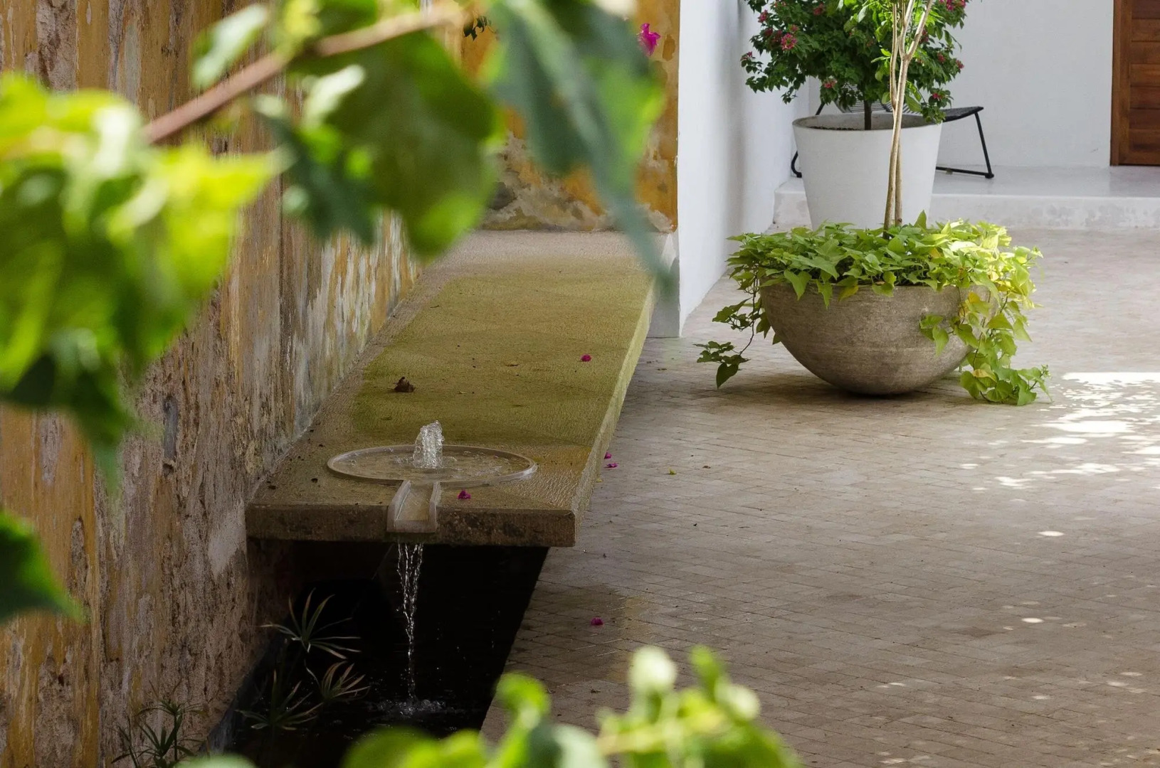 Foto - Las Lupitas Hotel Boutique