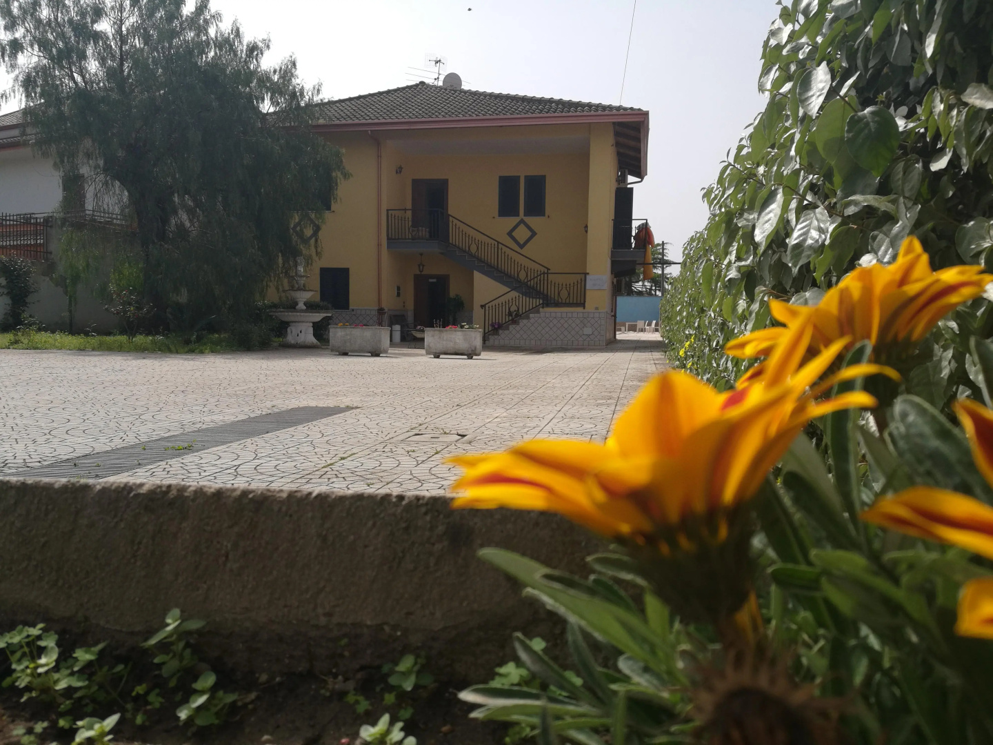 Foto - Garden Inn