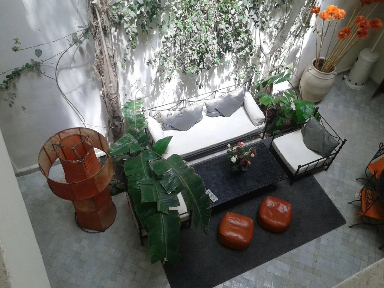 Photo - Riad white flowers