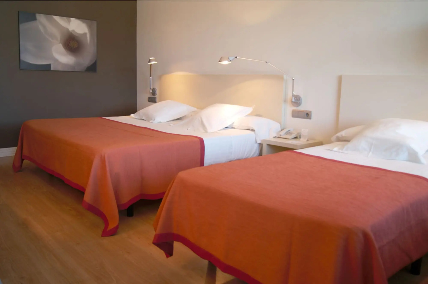 Foto - Magnolia Hotel - Adults Only