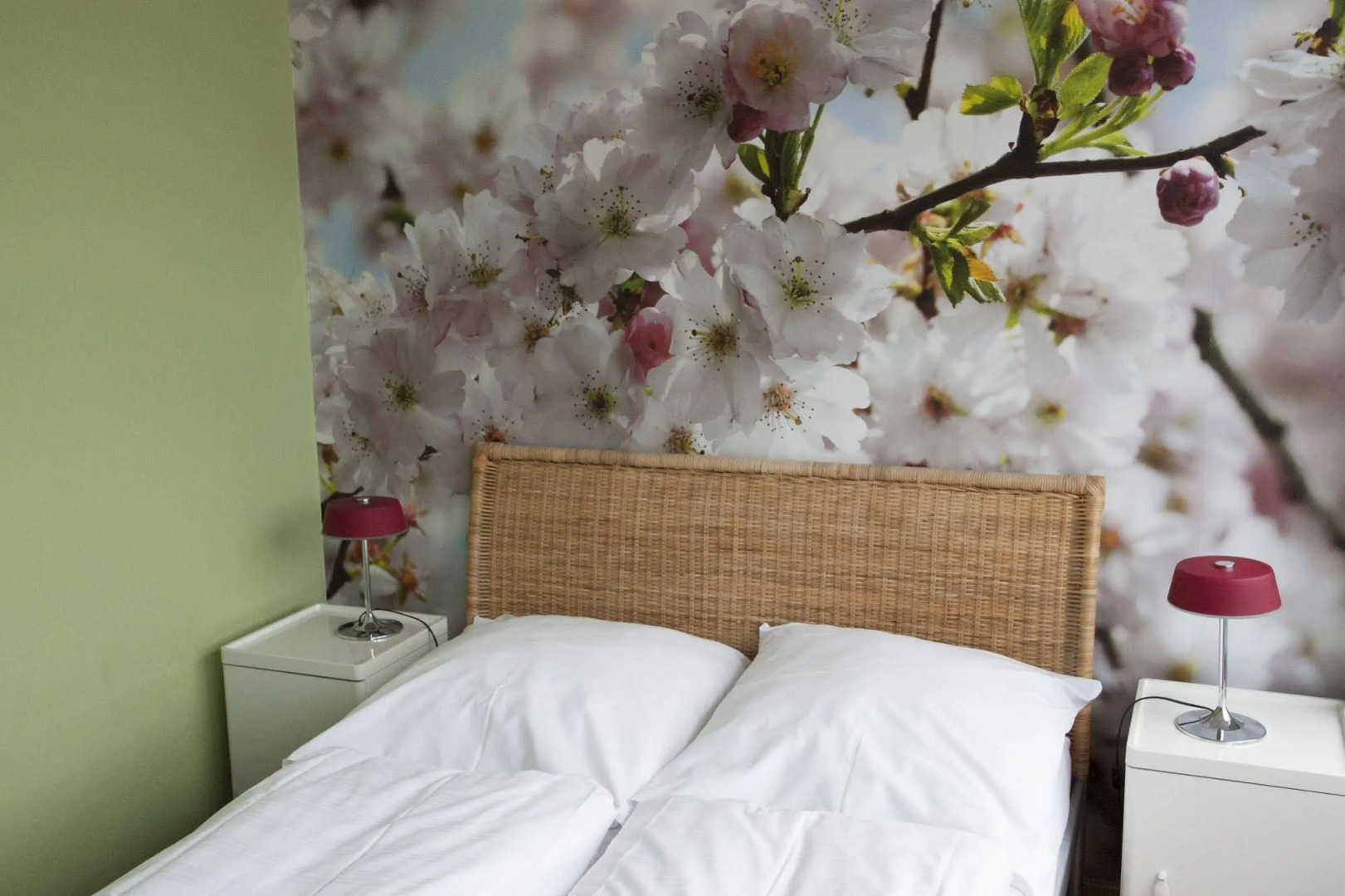 Photo - The Circus Hostel