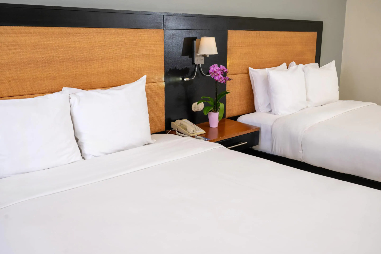 Photo - Radisson Hotel Santo Domingo