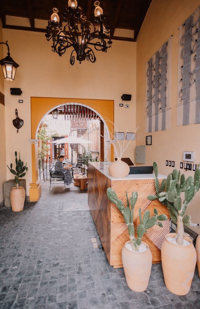 Photo - Mestizo Antigua