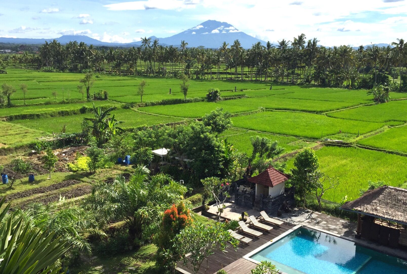 Photo - Collection O Ubud Near Central Ubud Formerly Hotel Suly