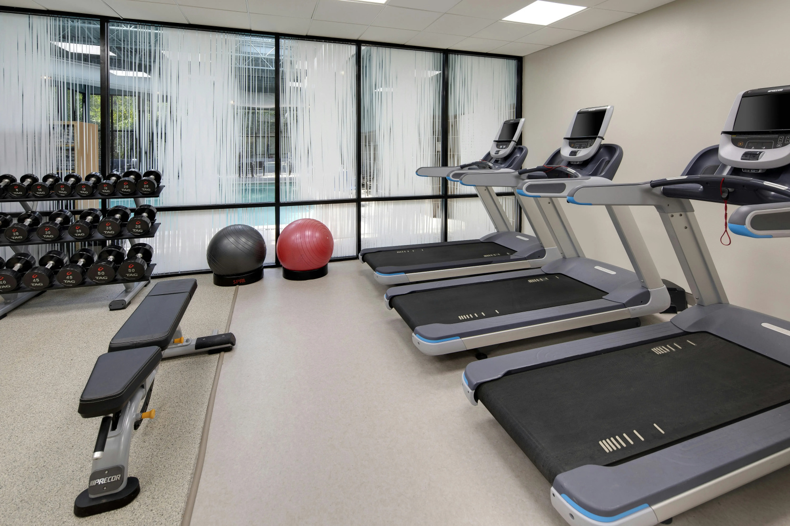 Foto - Embassy Suites by Hilton Atlanta Perimeter Center
