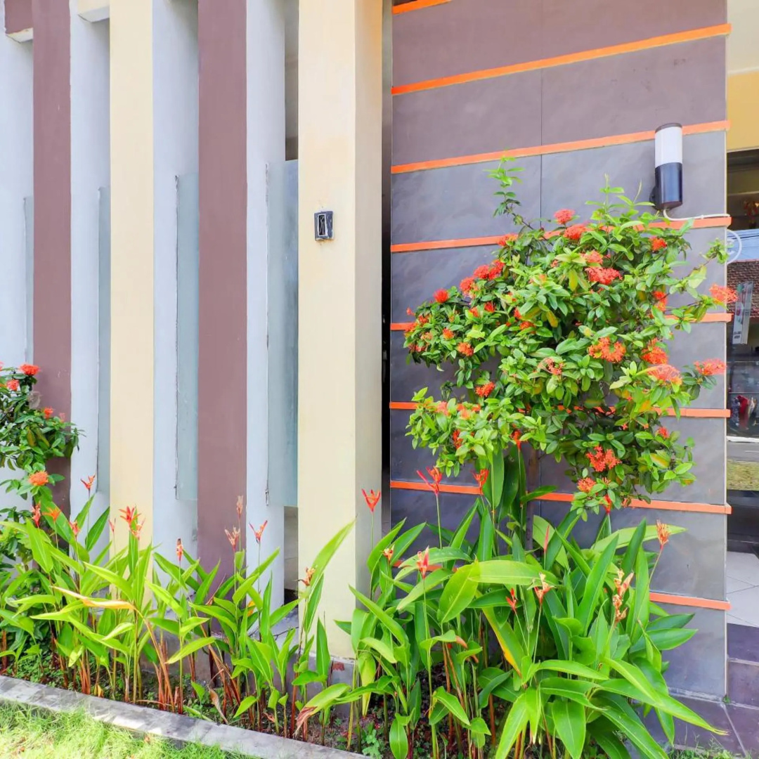 Photo - Collection O Near Bali Royal Hospital Renon Formerly JC BoutiqueÂ Hotel