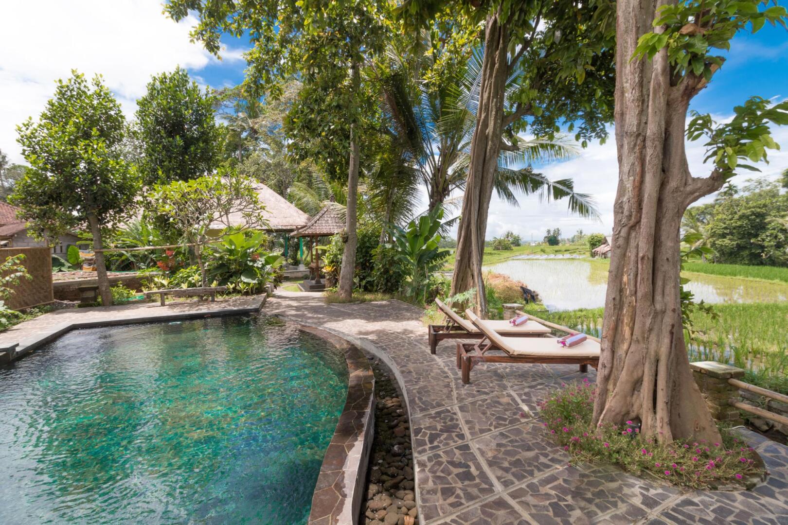 Photo - Umasari Rice Terrace Villa by AGATA