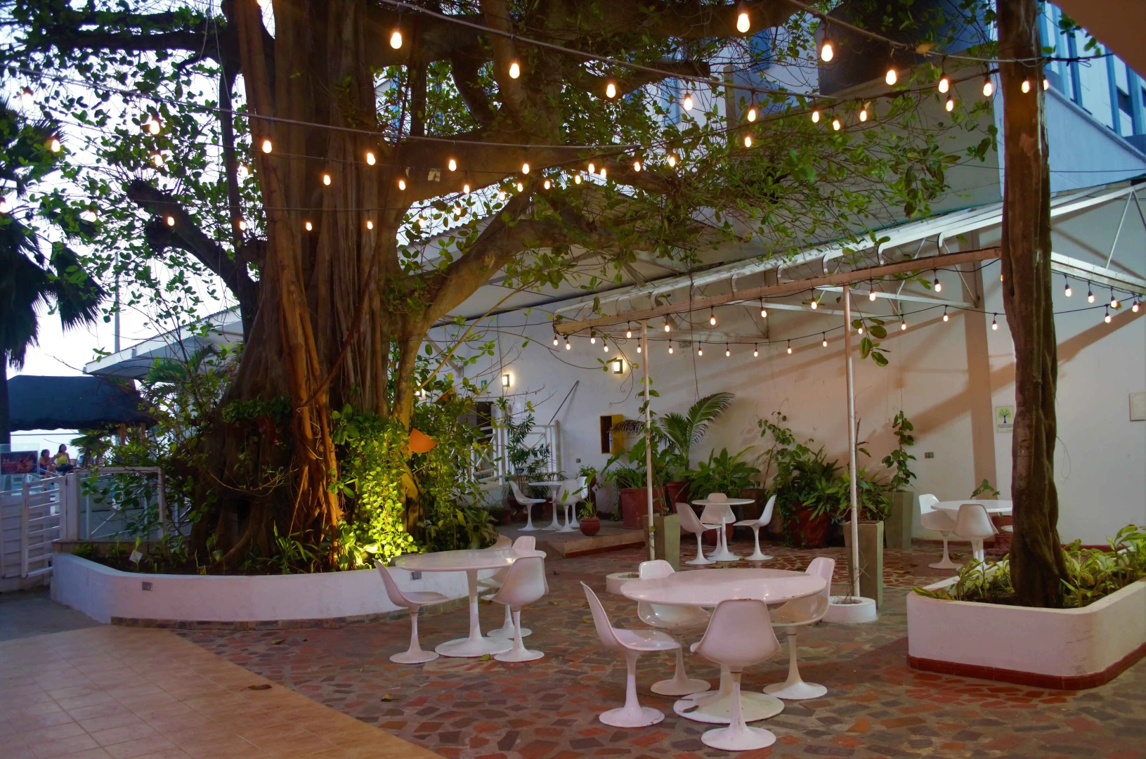 Photo - Hotel Playa Club