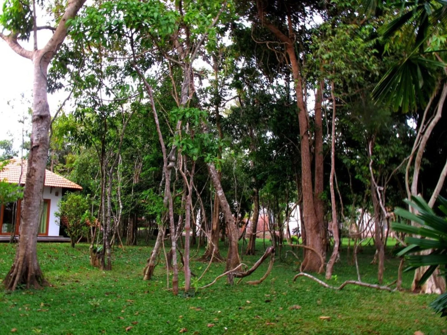 Foto - Green Bay Phu Quoc Resort & Spa