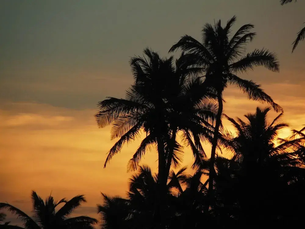 Foto - pousada da sarafina ltda