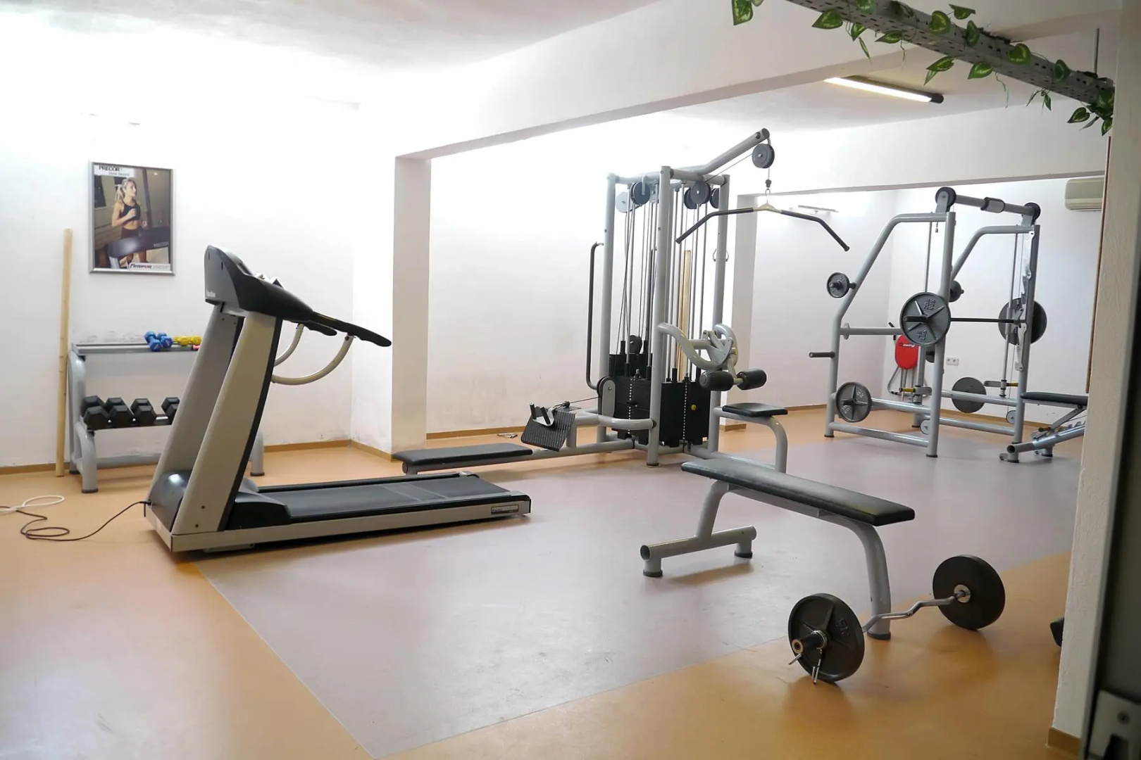 Photo - Selcukhan Hotel
