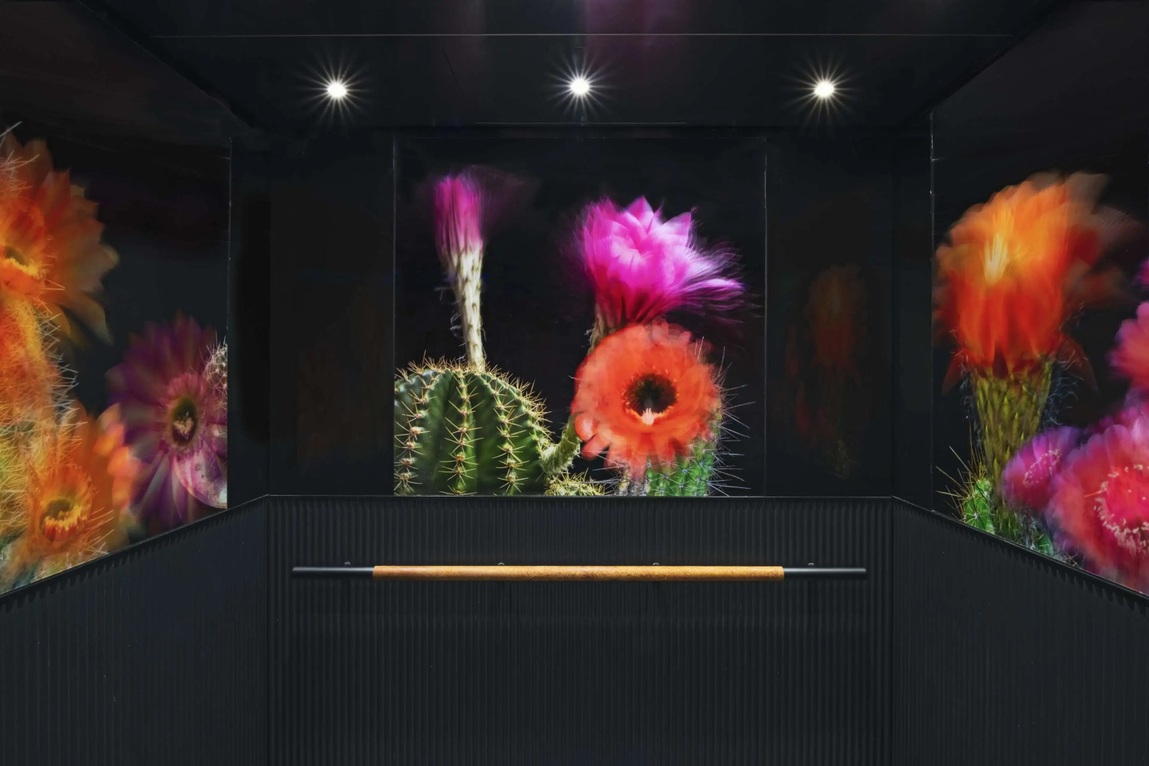 Foto - Tommie Austin, JDV by Hyatt