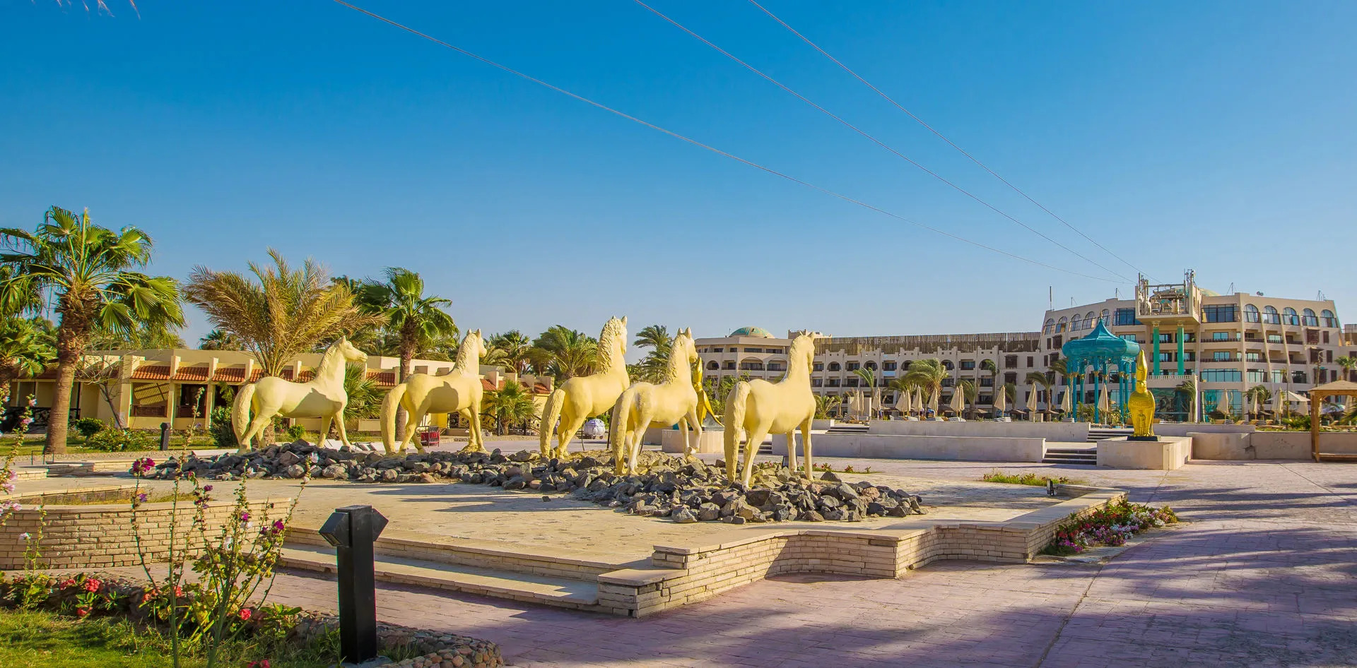 Foto - Calimera Blend Paradise