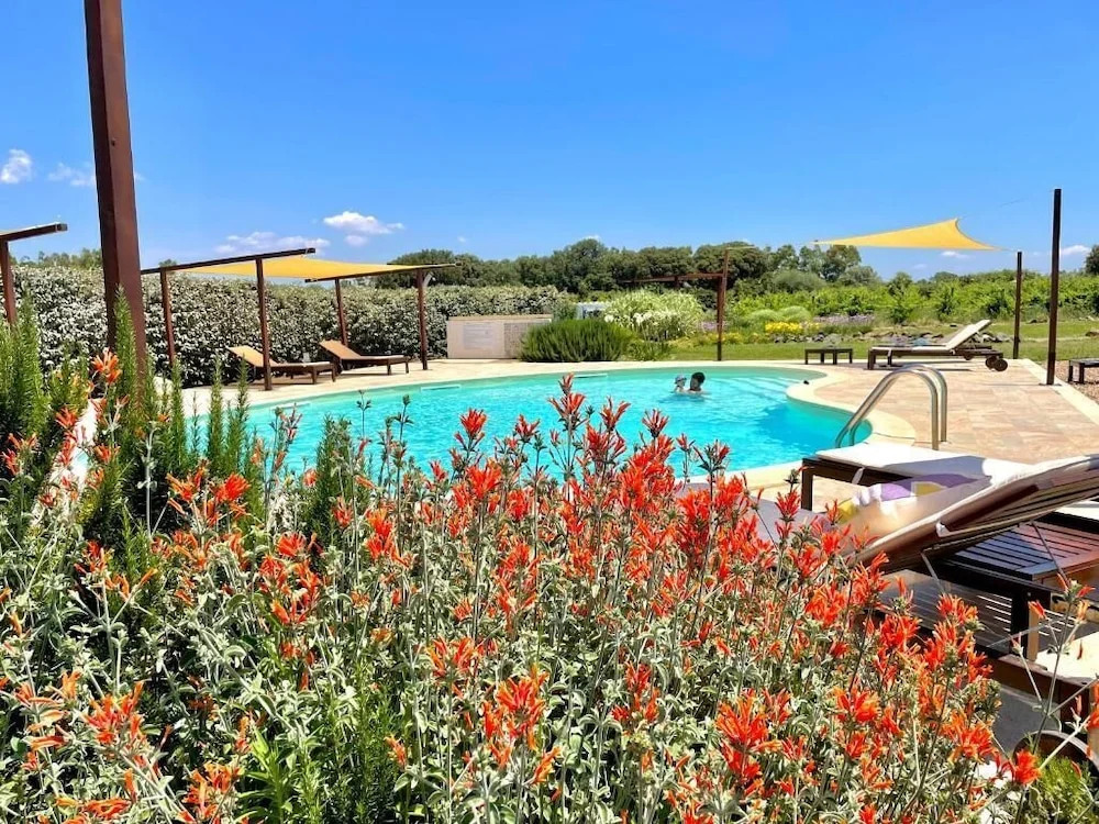 Foto - Is Cheas wine farm boutique hotel