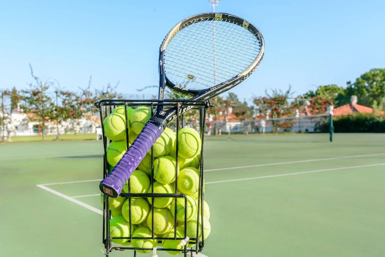 Foto - Pedras Da Rainha