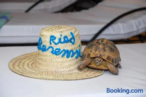 Foto - Riad Berenssi