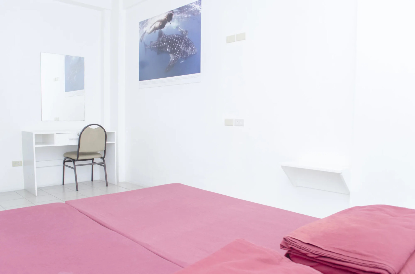 Foto - Tarasa Hostel