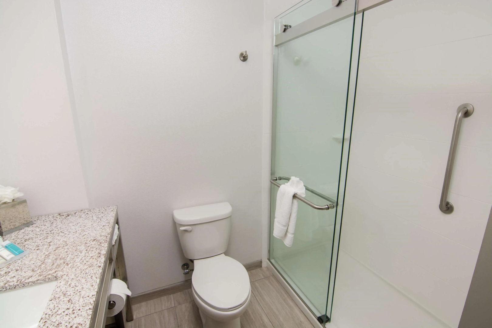 Photo - Hilton Garden Inn Tampa Suncoast Parkway