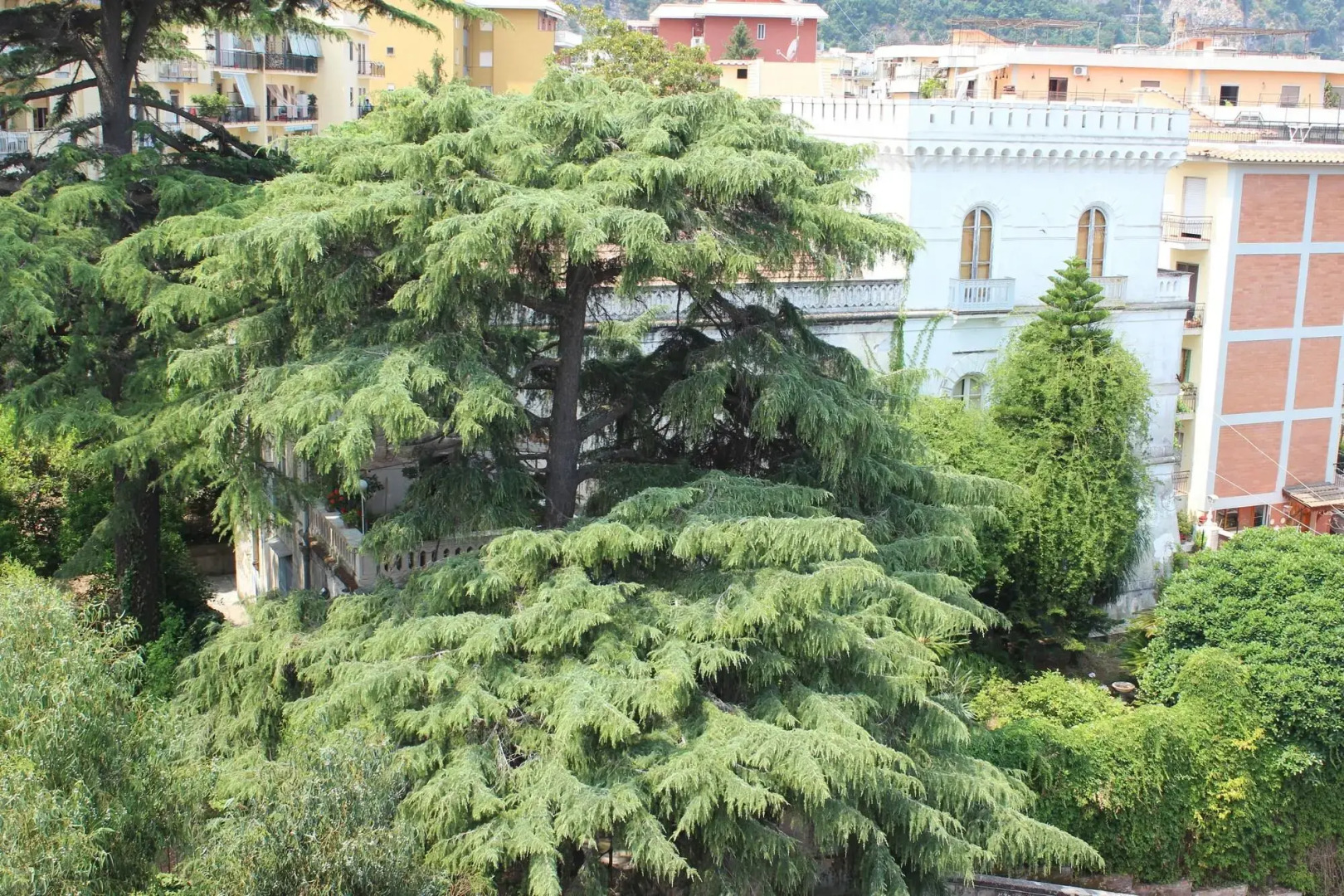 Photo - Villa Manning Relais