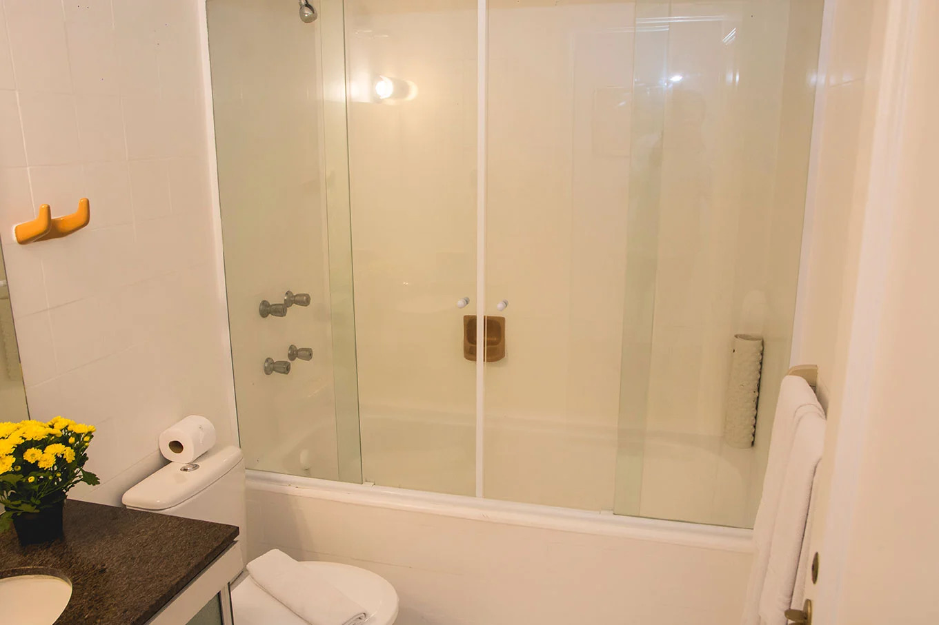 Photo - DELPLAZA Timbiras São Paulo