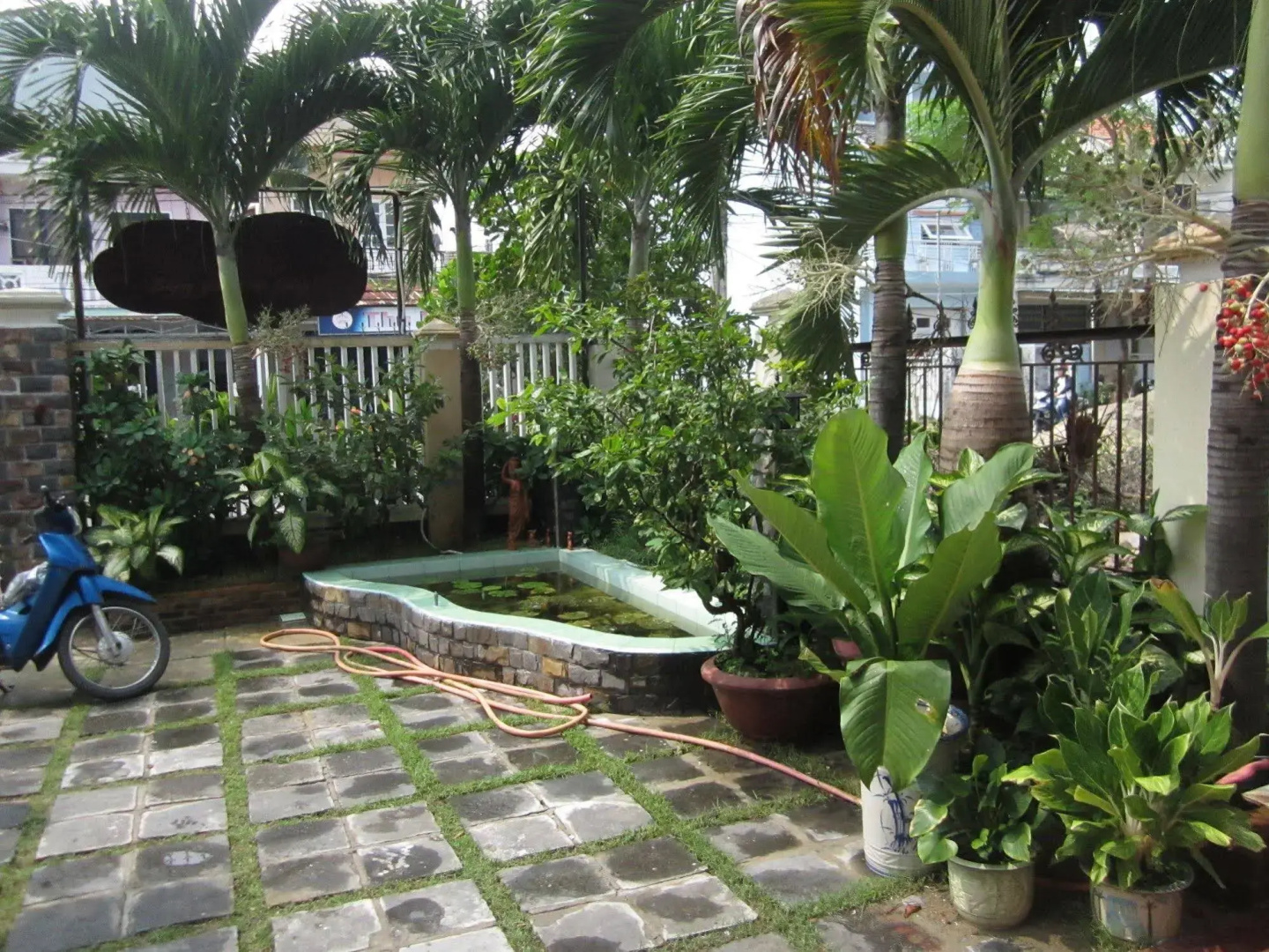 Photo - An Hiên Homestay Hội An