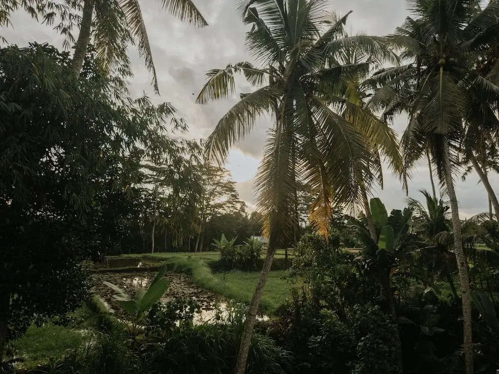 Foto - Uma Lys Villa Ubud