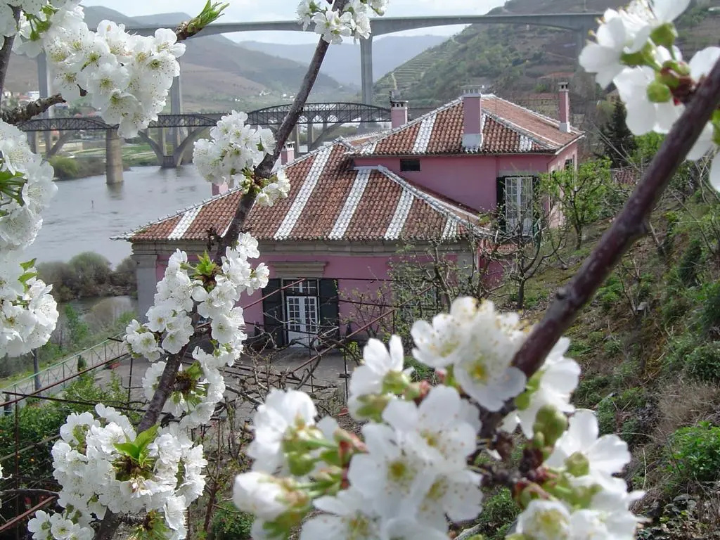 Foto - Casa dos Varais