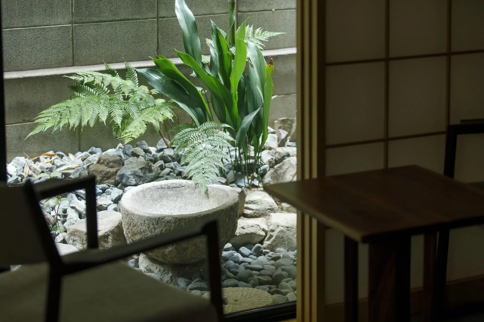 Foto - Kikoku no Mori