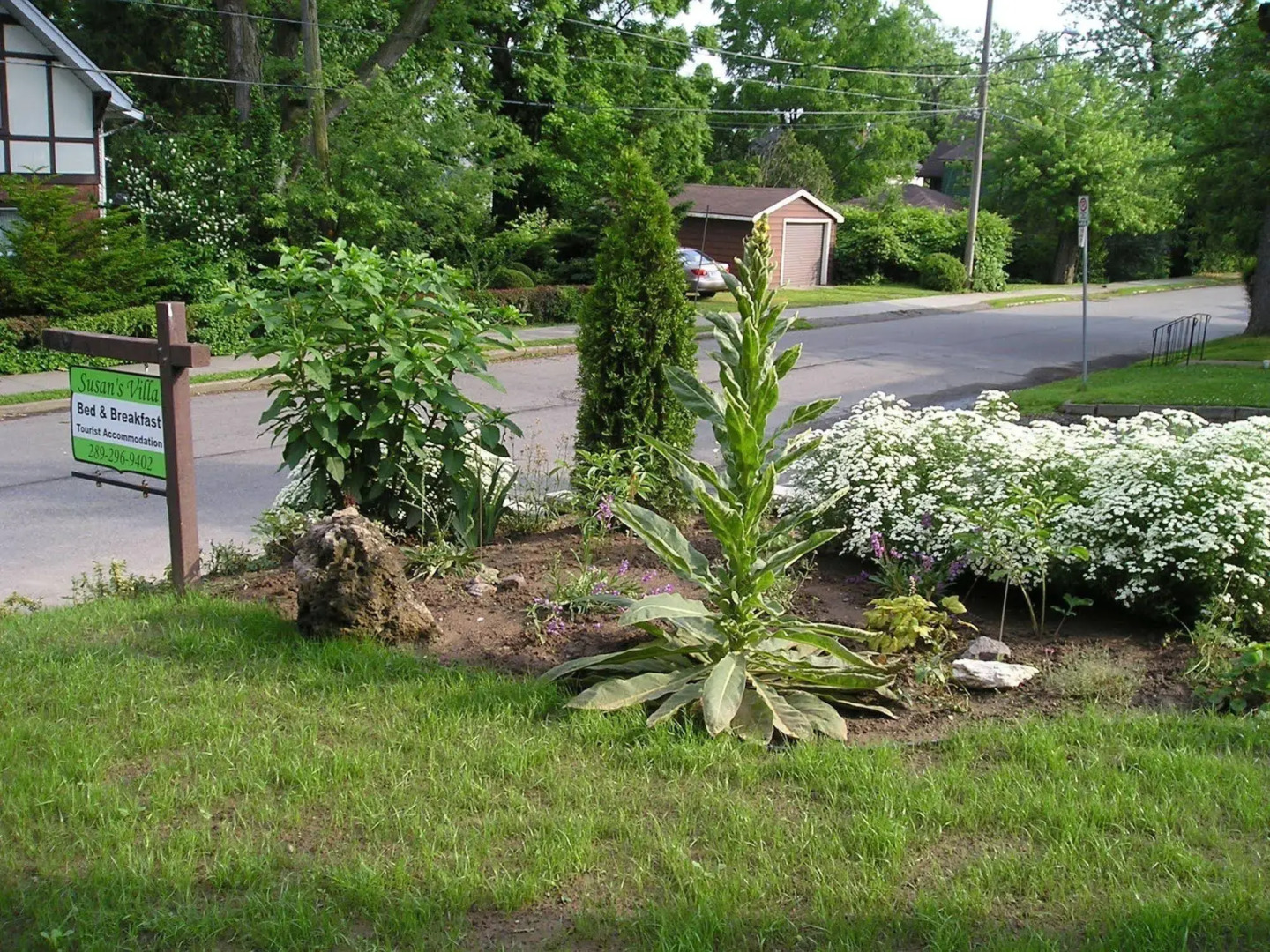 Foto - Susan's Villa