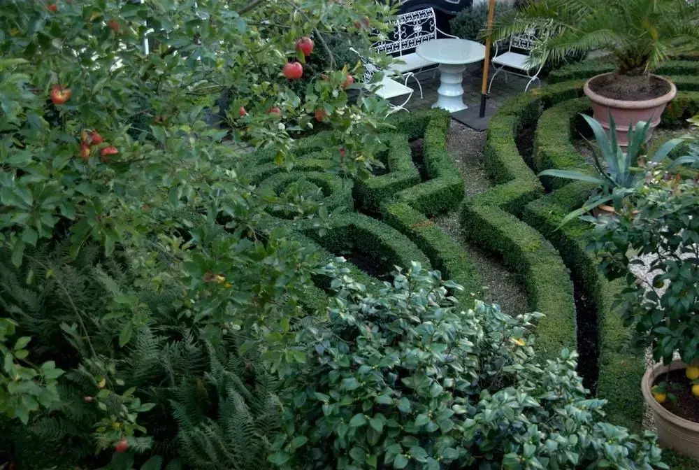 Foto - B&B The Verhaegen