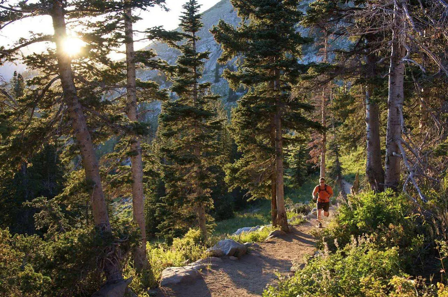 Photo - Hampton Inn Salt Lake City/Sandy