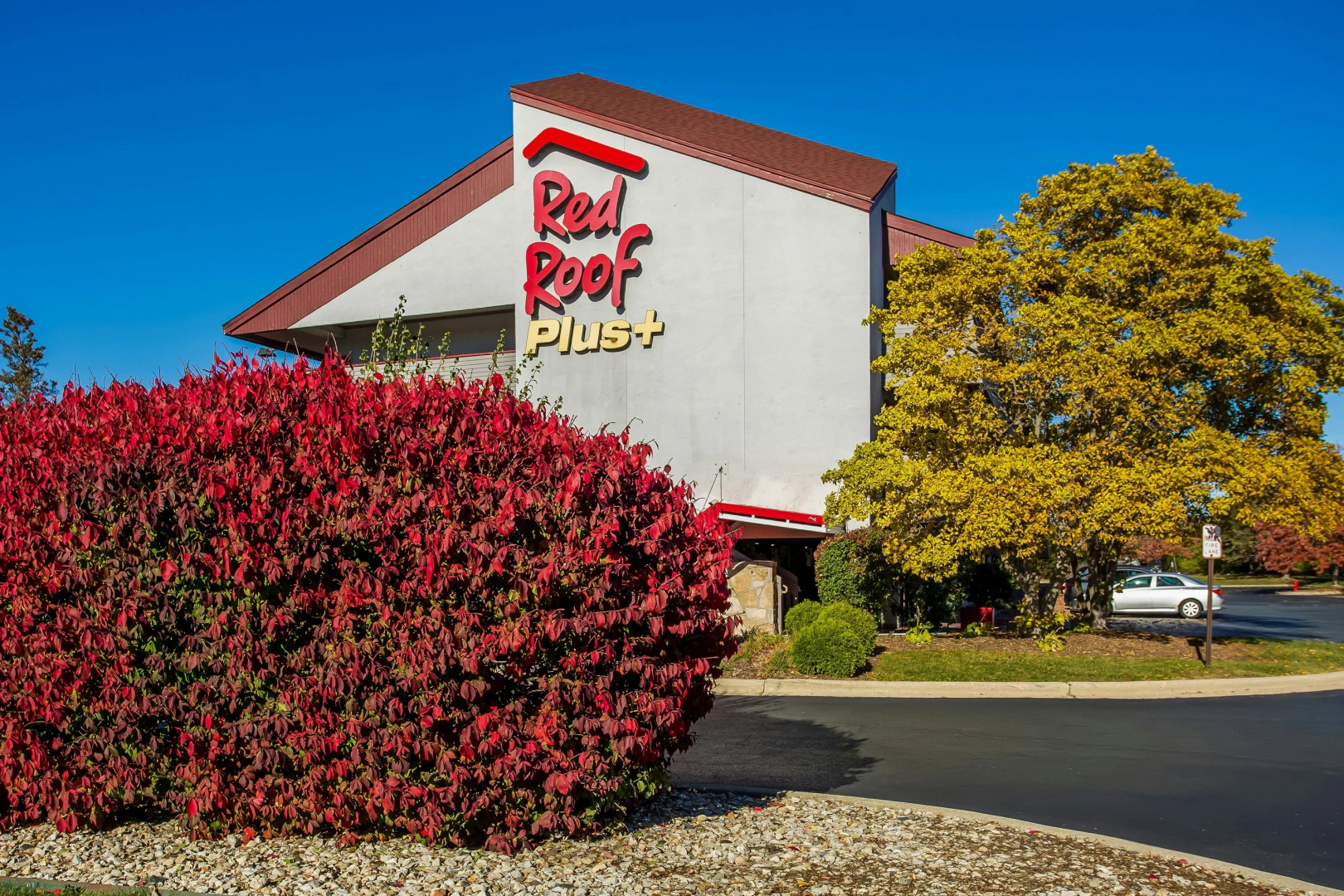 Foto - Red Roof Inn PLUS+ Chicago - Hoffman Estates