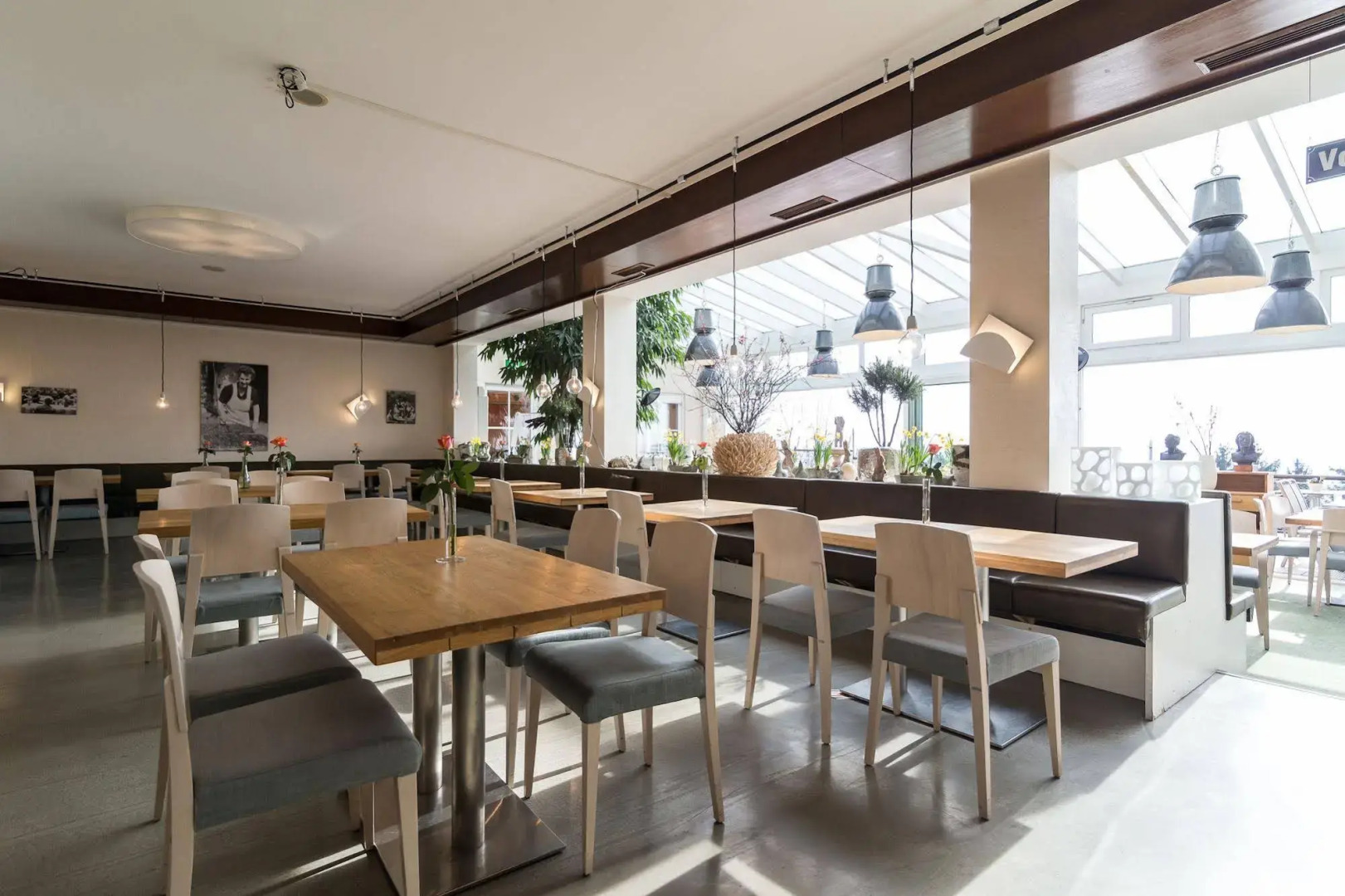 Foto - Hotel Schöne Aussicht