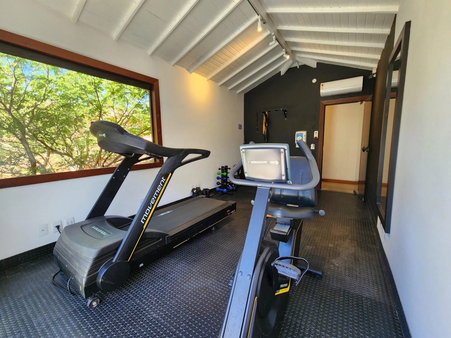 Photo - Corais e Conchas