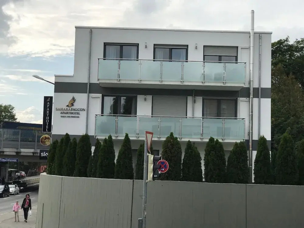 Photo - Sahara Falcon