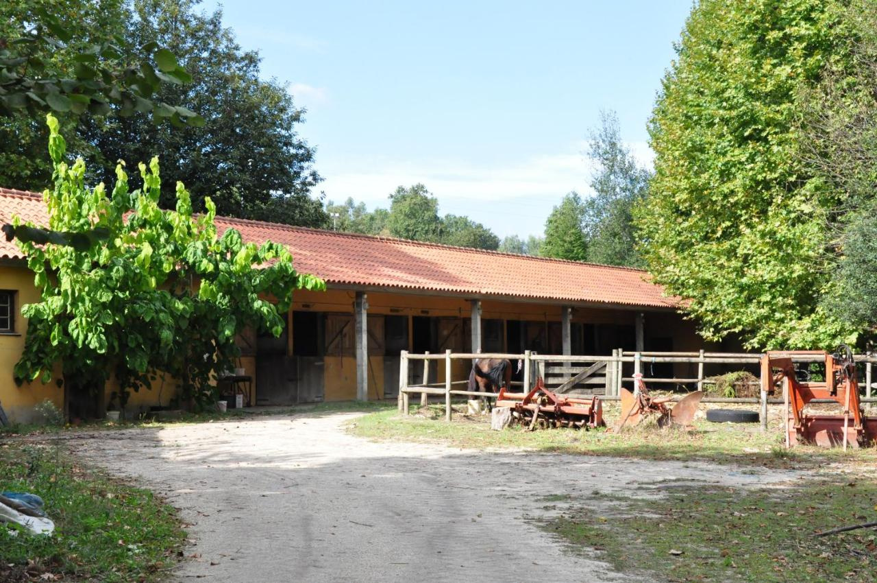 Foto - Hotel Rural de Charme Maria da Fonte