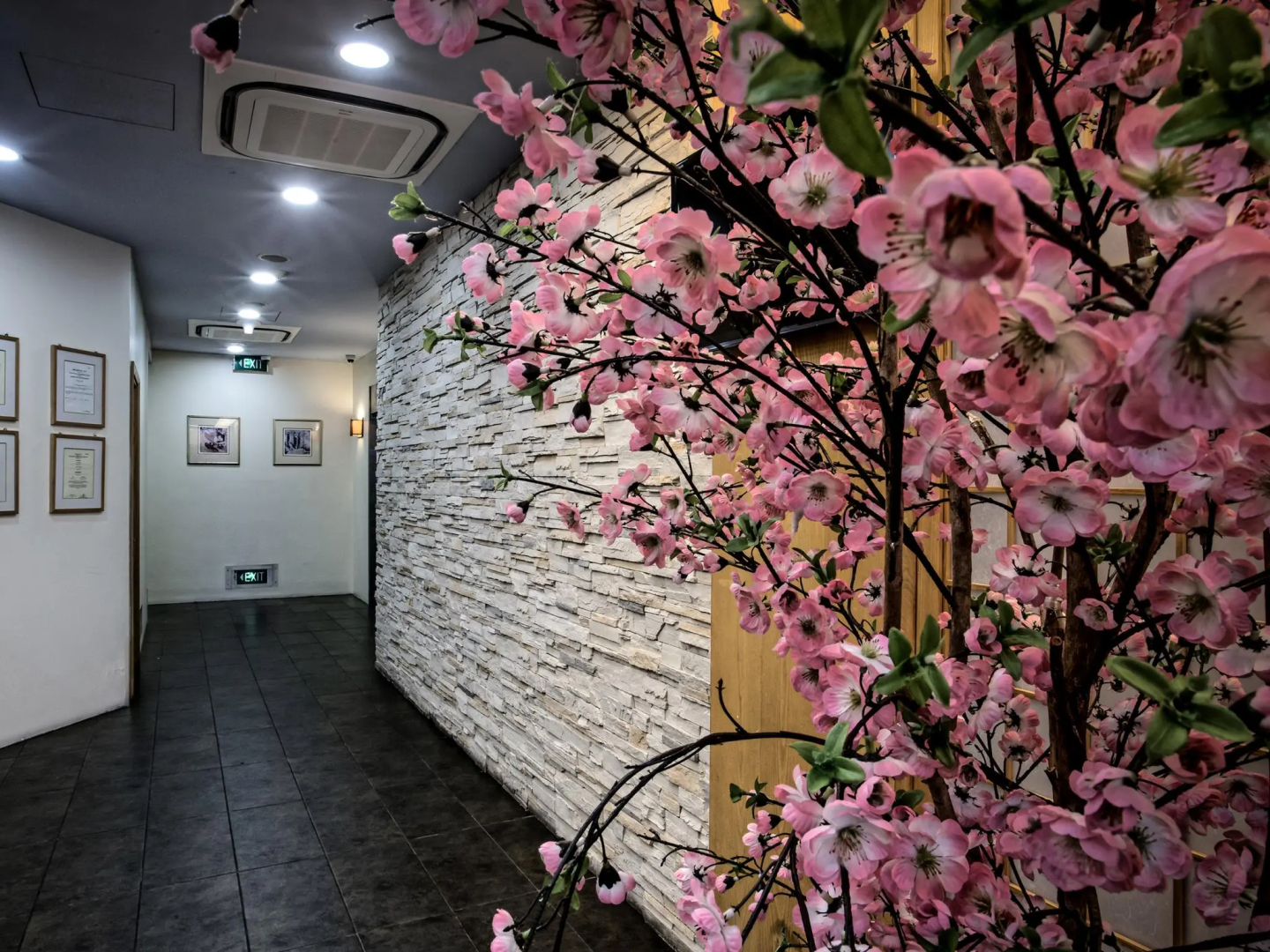 Foto - Hotel Sakura by Venue