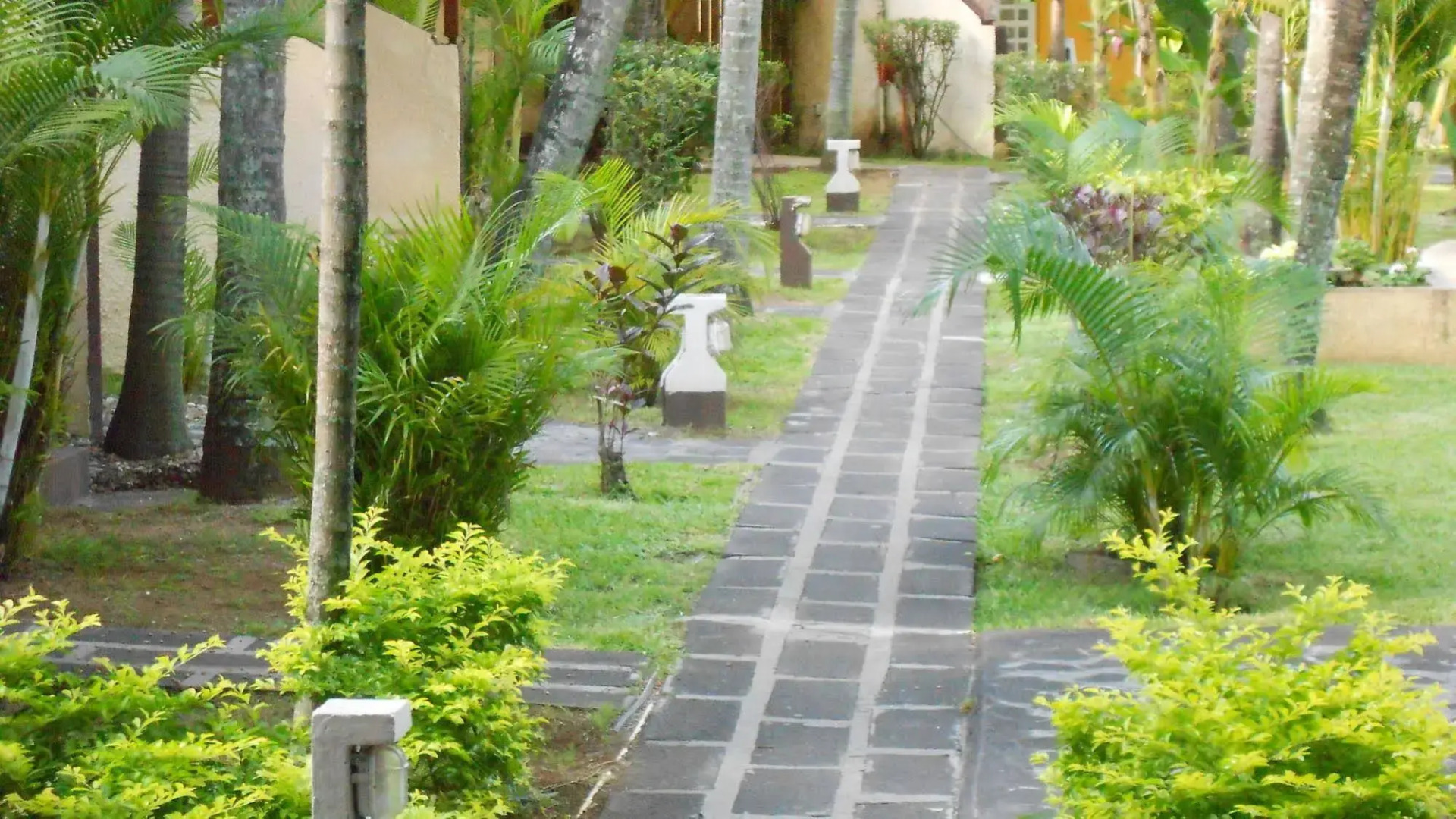 Foto - Le Grand Bleu Hotel