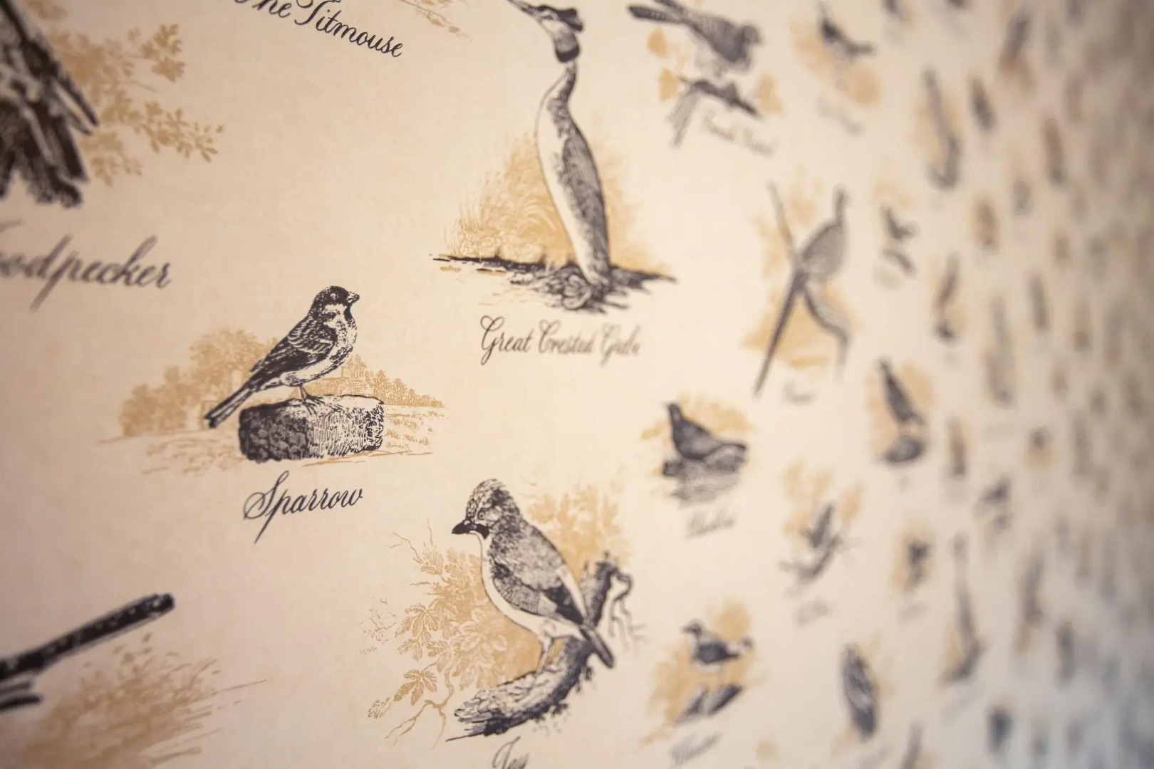 Photo - The Albany St Andrews