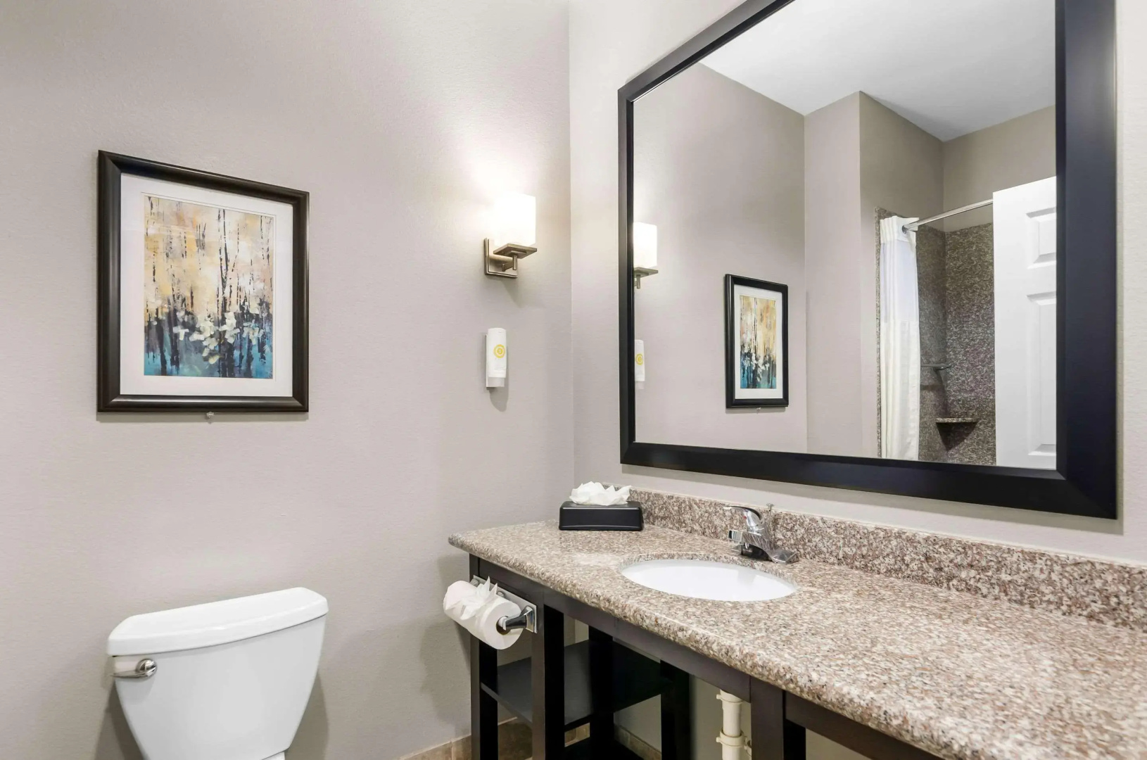 Foto - Comfort Suites at Katy Mills