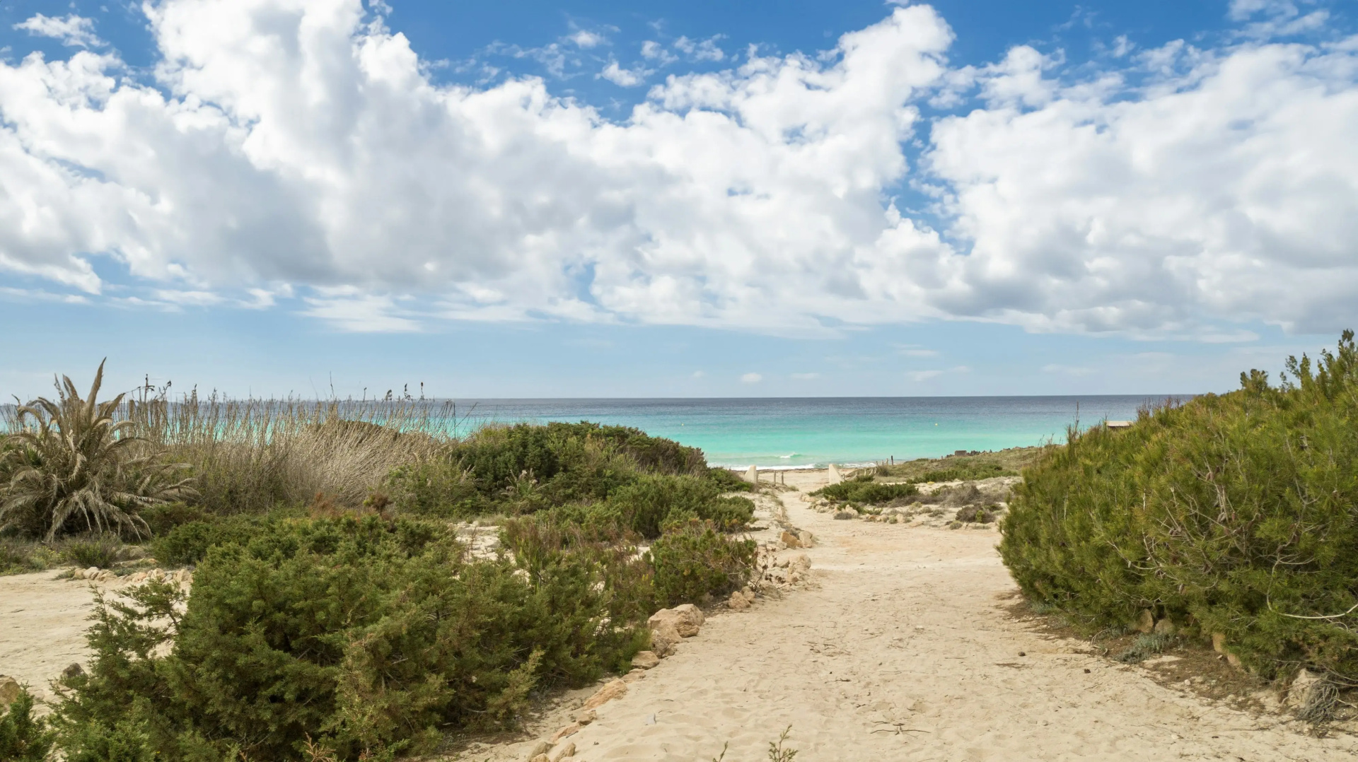Foto - Dunas de Formentera Hotel