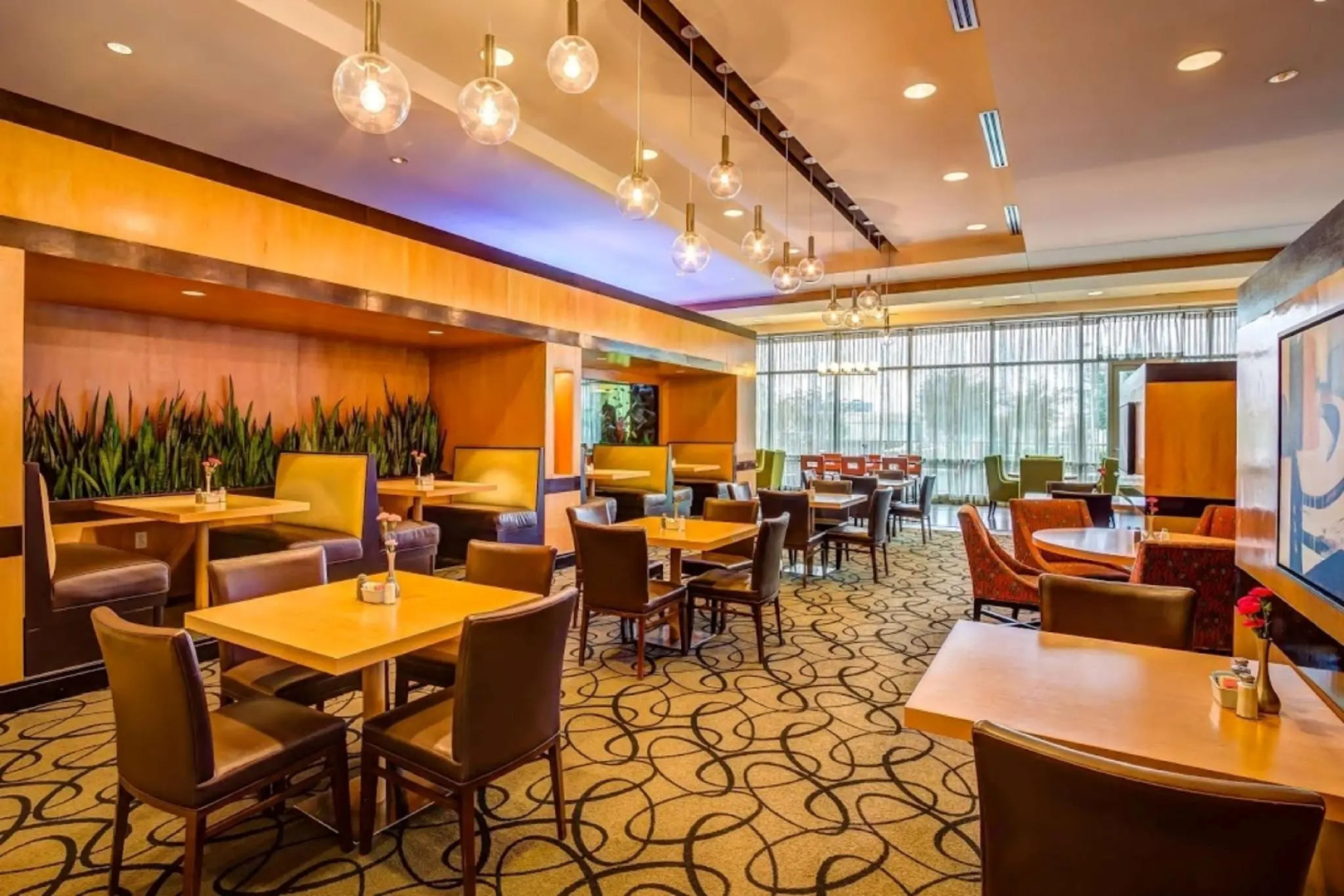 Foto - Embassy Suites by Hilton Houston-Energy Corridor