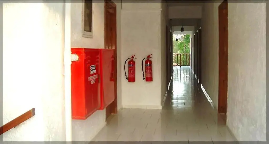 Photo - Sunlight Hotel