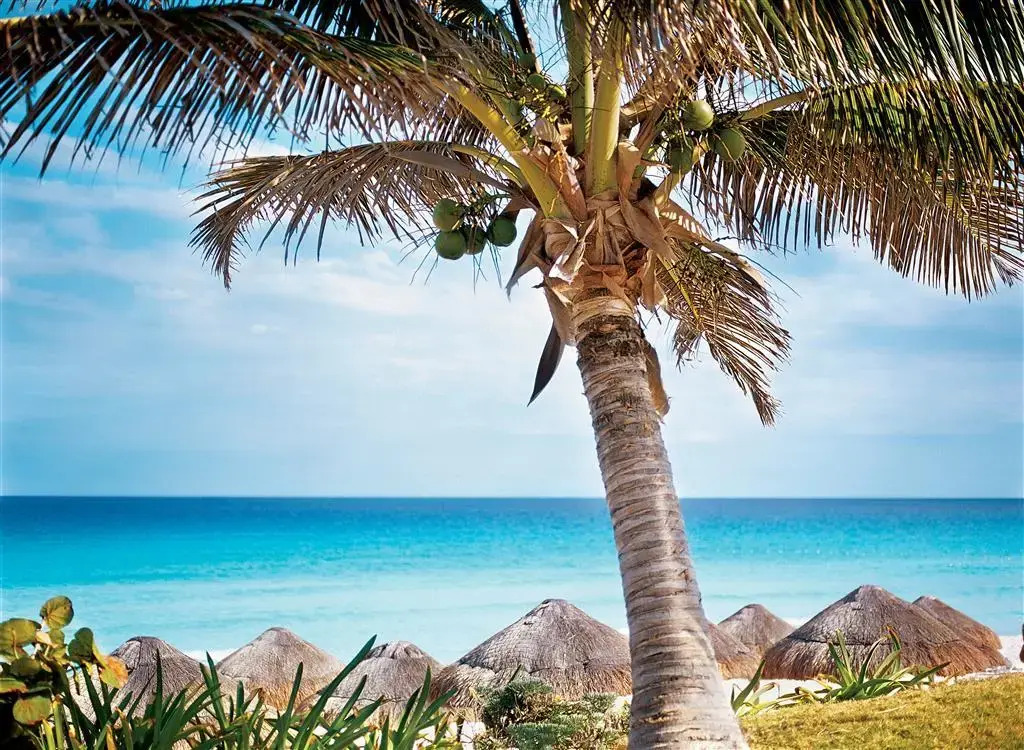 Foto - The Westin Lagunamar Ocean Resort Villas & Spa Cancun