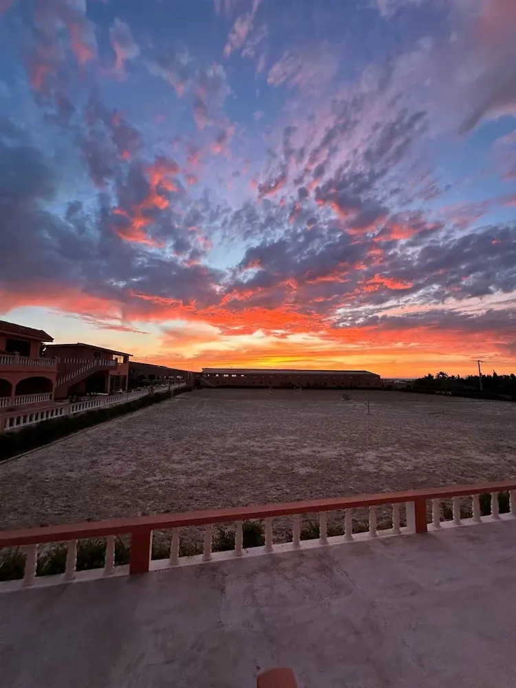 Foto - Royal Club Equestre Detroit Bed and Breakfast