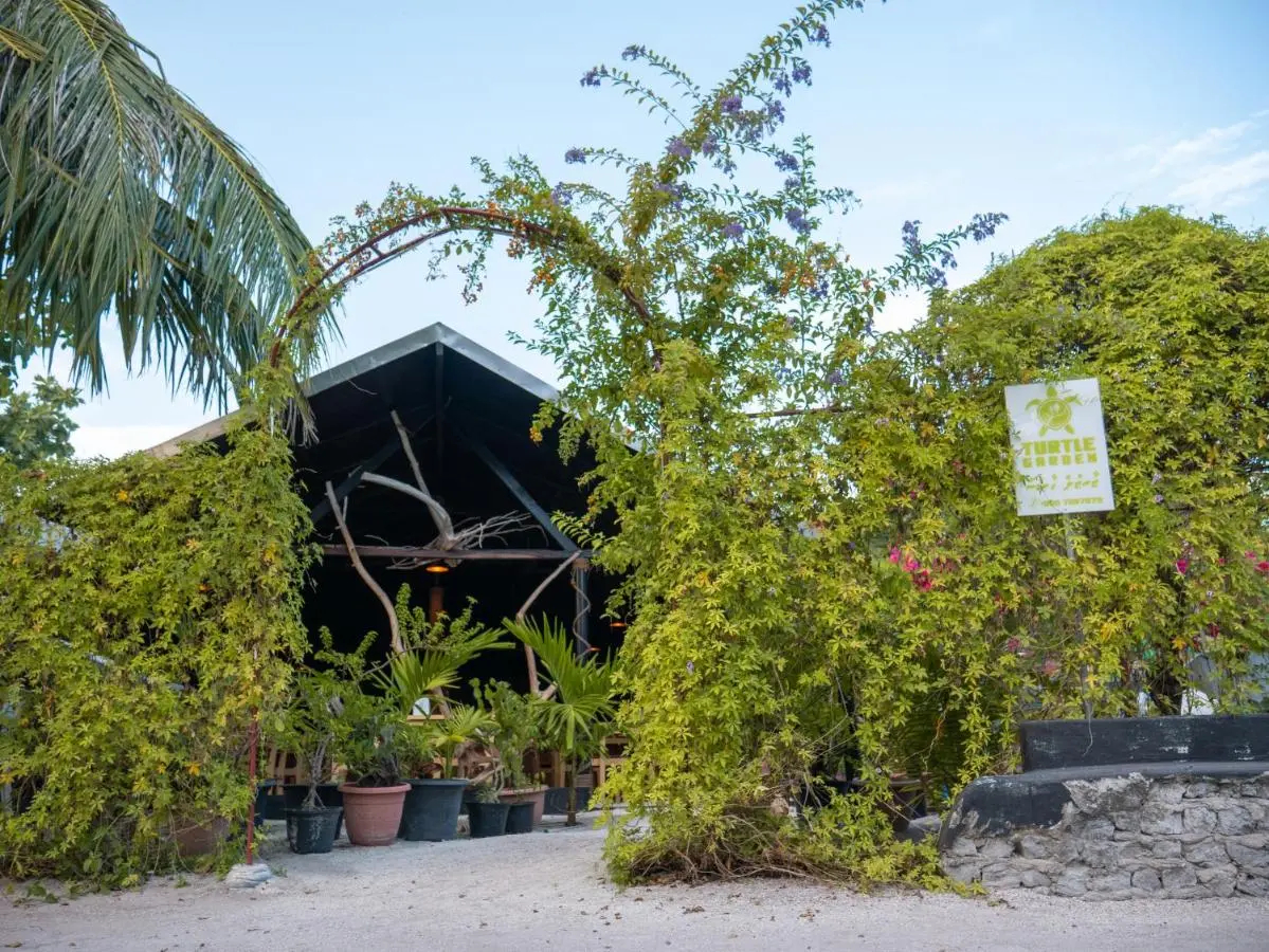 Photo - Turtle Maldives - Your Gateway to the Beach & Marine Adventures Await!